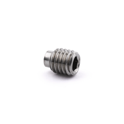 ISO 4028 / DIN 915 A2 M2.5 X 5 Socket Set Dog Point