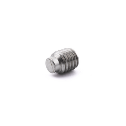 ISO 4028 / DIN 915 A2 M2.5 X 5 Socket Set Dog Point