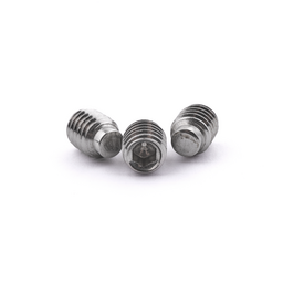 ISO 4028 / DIN 915 A2 M2.5 X 5 Socket Set Dog Point