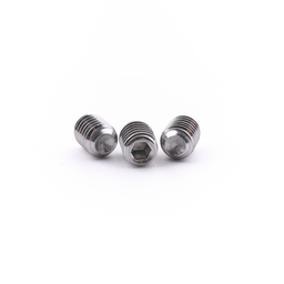 ISO 4029 / DIN 916 A2 M3 X 16 Socket Set Cup Point