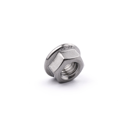 DIN 6923-Z A4 M10 (Serrated) Hexagon Flange Nut